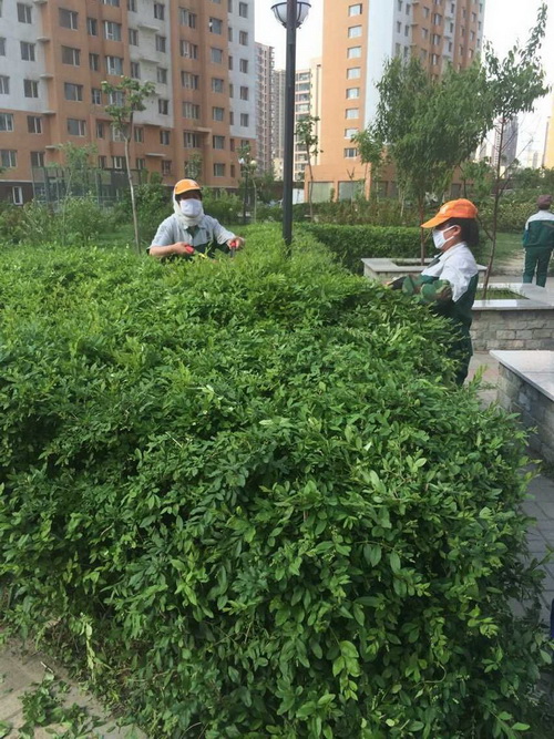 园林工作