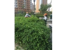 园林工作
