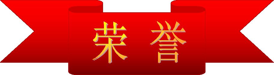 公司荣誉